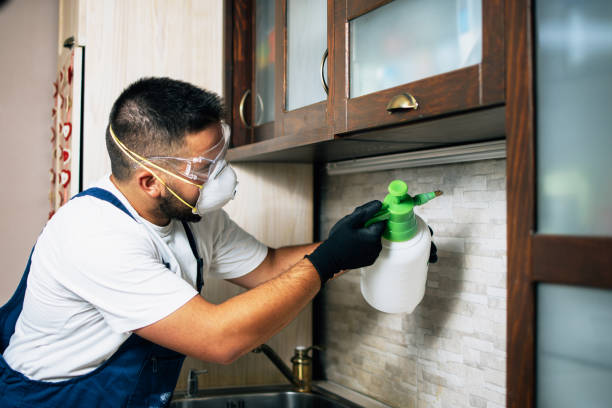 Best Residential Pest Control  in Los Osos, CA
