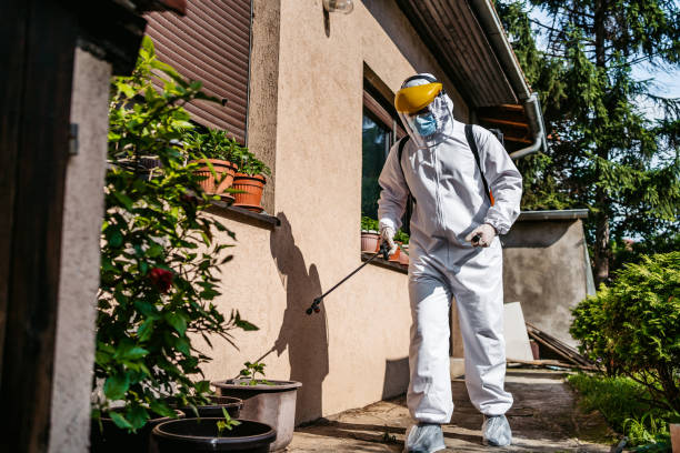 Professional Pest Control in Los Osos, CA
