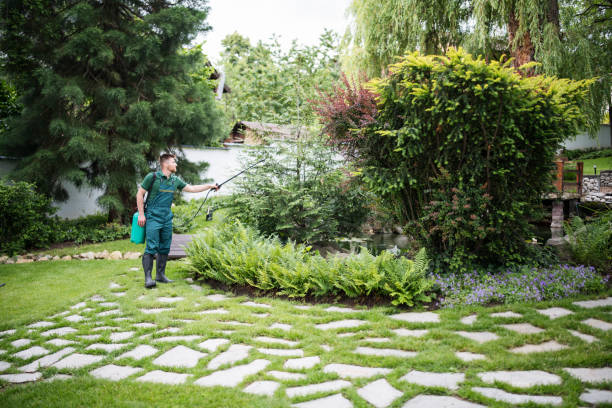 Best Wasp Removal Services  in Los Osos, CA