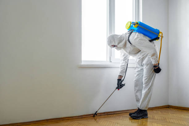 Best Pest Inspection Near Me  in Los Osos, CA